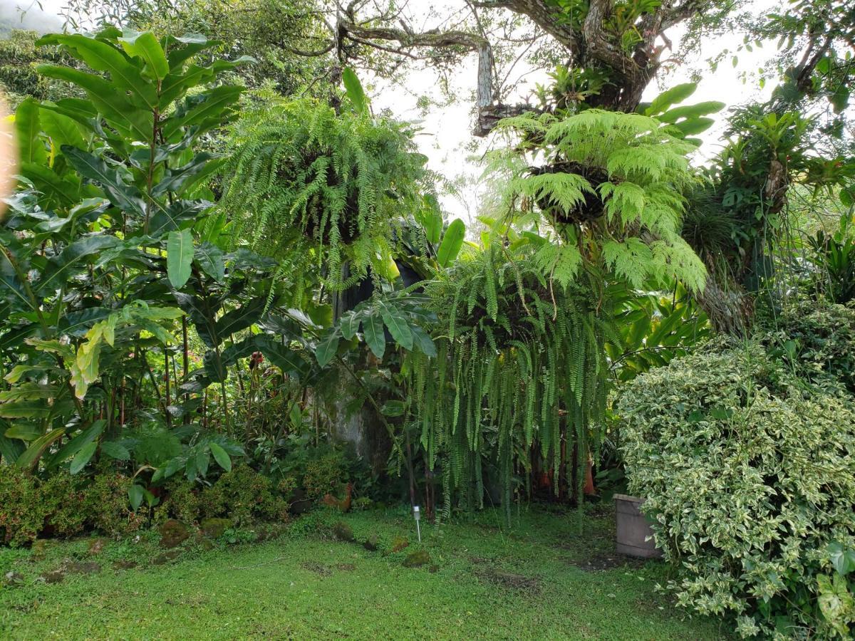Finca San Antonio in El Valle de Anton Exterior foto