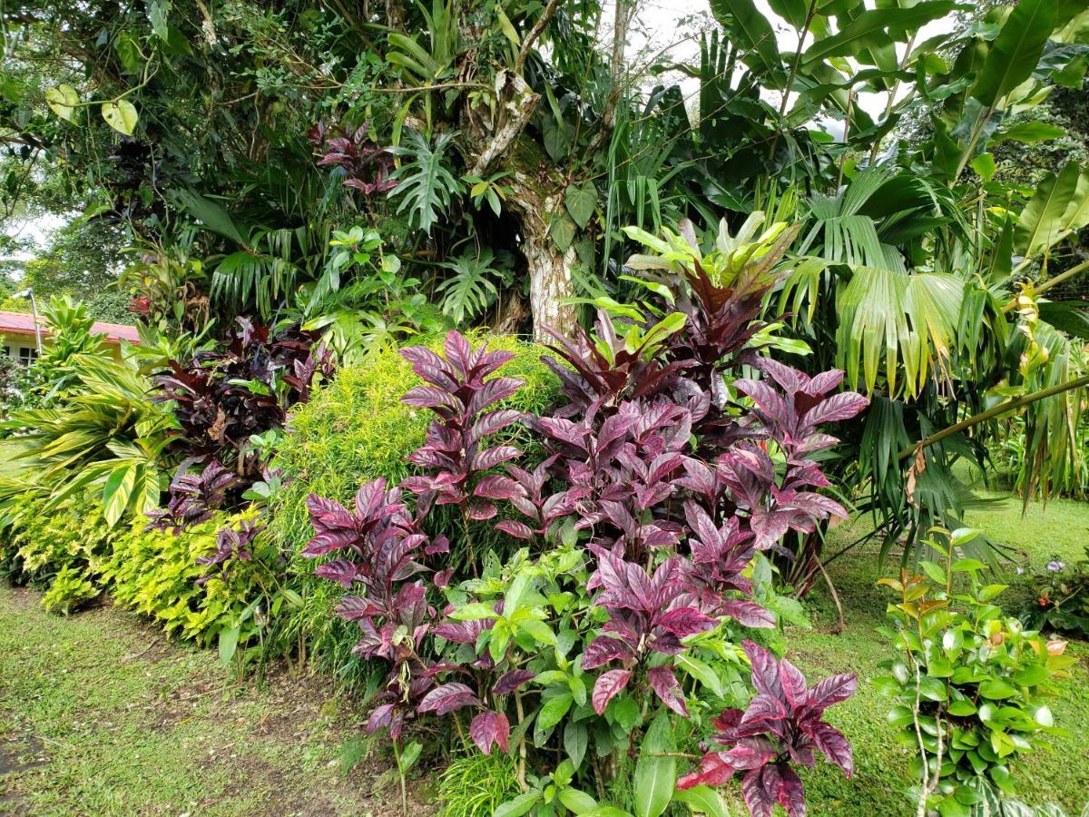 Finca San Antonio in El Valle de Anton Exterior foto