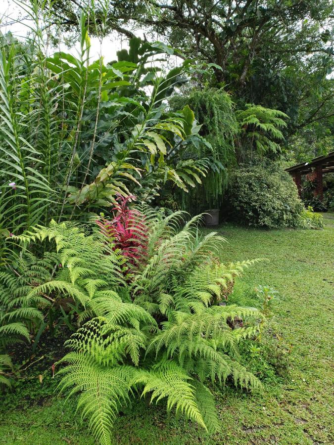 Finca San Antonio in El Valle de Anton Exterior foto